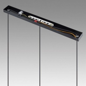 Подвесной светильник Lumion Isha 8101/3A в Карталах - kartaly.ok-mebel.com | фото 2