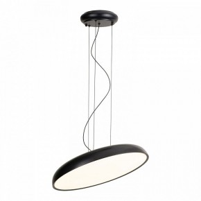 Подвесной светильник Lussole Crook LSP-7360 в Карталах - kartaly.ok-mebel.com | фото 2