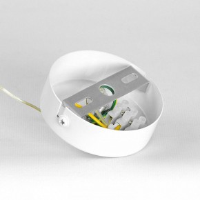 Подвесной светильник Lussole Gregg LSP-8963 в Карталах - kartaly.ok-mebel.com | фото 7