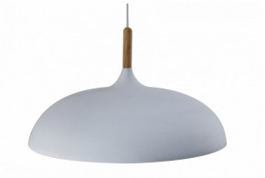 Подвесной светильник Moderli Hygo V11447-1P в Карталах - kartaly.ok-mebel.com | фото