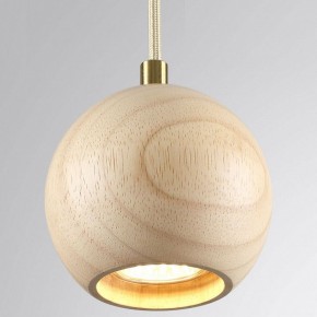 Подвесной светильник Odeon Light Caucho 7061/1 в Карталах - kartaly.ok-mebel.com | фото 2