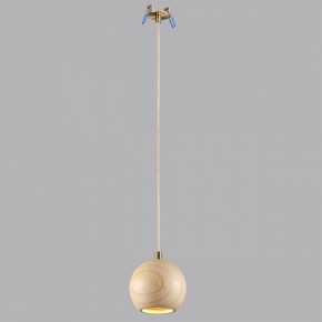Подвесной светильник Odeon Light Caucho 7061/1 в Карталах - kartaly.ok-mebel.com | фото 3