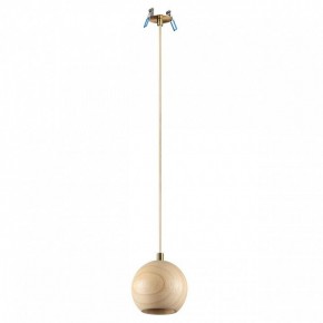Подвесной светильник Odeon Light Caucho 7061/1 в Карталах - kartaly.ok-mebel.com | фото 5