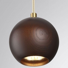 Подвесной светильник Odeon Light Caucho 7062/1 в Карталах - kartaly.ok-mebel.com | фото