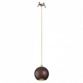Подвесной светильник Odeon Light Caucho 7062/1 в Карталах - kartaly.ok-mebel.com | фото 2
