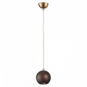 Подвесной светильник Odeon Light Caucho 7062/1 в Карталах - kartaly.ok-mebel.com | фото 4
