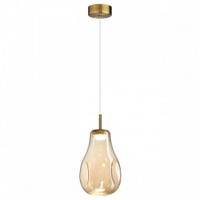 Подвесной светильник Odeon Light Nave 5098/4L в Карталах - kartaly.ok-mebel.com | фото 2