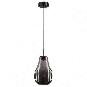Подвесной светильник Odeon Light Nave 5098/4LC в Карталах - kartaly.ok-mebel.com | фото 4