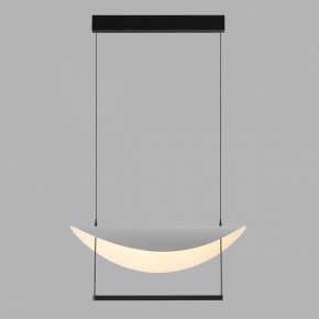 Подвесной светильник Odeon Light Next 7015/20L в Карталах - kartaly.ok-mebel.com | фото 4