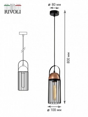 Подвесной светильник Rivoli Anemon Б0047359 в Карталах - kartaly.ok-mebel.com | фото 9