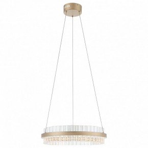 Подвесной светильник ST-Luce Cherio SL383.203.01 в Карталах - kartaly.ok-mebel.com | фото 3