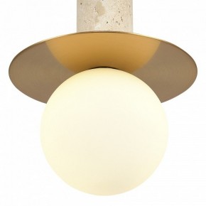 Подвесной светильник ST-Luce Earthy SL1194.303.01 в Карталах - kartaly.ok-mebel.com | фото 5