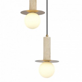 Подвесной светильник ST-Luce Earthy SL1194.303.03 в Карталах - kartaly.ok-mebel.com | фото 4