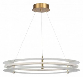 Подвесной светильник ST-Luce FAGY SL6245.203.01 в Карталах - kartaly.ok-mebel.com | фото 3