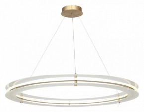 Подвесной светильник ST-Luce FAGY SL6245.213.01 в Карталах - kartaly.ok-mebel.com | фото 4