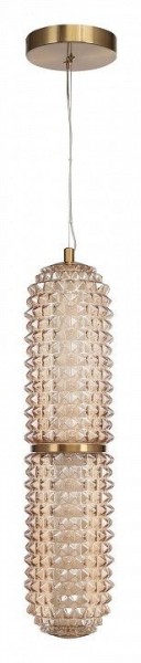 Подвесной светильник ST-Luce SAGUARO SL6144.303.01 в Карталах - kartaly.ok-mebel.com | фото 3