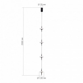 Подвесной светильник ST-Luce Zenith SL6231.403.04 в Карталах - kartaly.ok-mebel.com | фото 3
