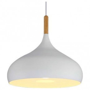 Подвесной светильник TopDecor Molto Molto S2 10 в Карталах - kartaly.ok-mebel.com | фото