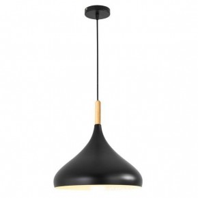 Подвесной светильник TopDecor Molto Molto S2 12 в Карталах - kartaly.ok-mebel.com | фото