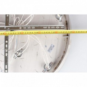 Потолочная люстра Aployt Teresa APL.855.06.10 в Карталах - kartaly.ok-mebel.com | фото 16