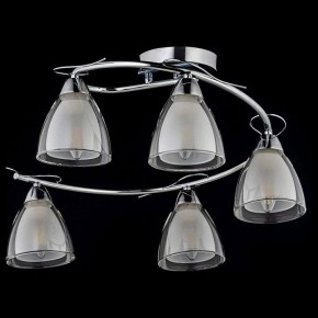 Потолочная люстра Arti Lampadari Paola, Tavenna Nickel Paola E 1.1.5 N в Карталах - kartaly.ok-mebel.com | фото 2