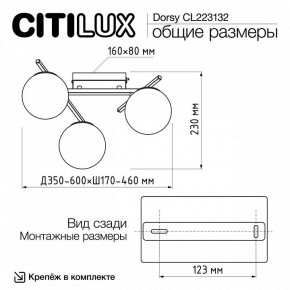 Потолочная люстра Citilux Dorsy CL223132 в Карталах - kartaly.ok-mebel.com | фото 12