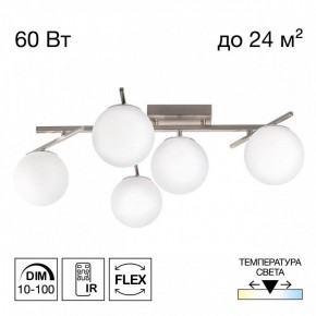 Потолочная люстра Citilux Dorsy CL223151 в Карталах - kartaly.ok-mebel.com | фото 2