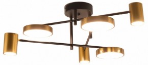 Потолочная люстра Kink Light Рапис 07645-6D,19(20) в Карталах - kartaly.ok-mebel.com | фото