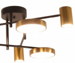 Потолочная люстра Kink Light Рапис 07645-6D,19(20) в Карталах - kartaly.ok-mebel.com | фото 2