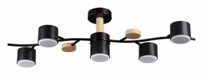 Потолочная люстра Lumion Crypto 8194/5C в Карталах - kartaly.ok-mebel.com | фото