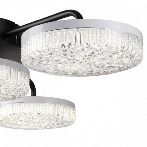 Потолочная люстра Lumion Didana 8236/4CL в Карталах - kartaly.ok-mebel.com | фото 7