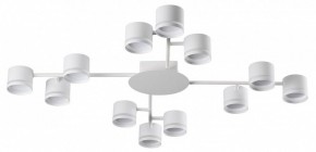 Потолочная люстра Lumion Gareta 8235/12C в Карталах - kartaly.ok-mebel.com | фото