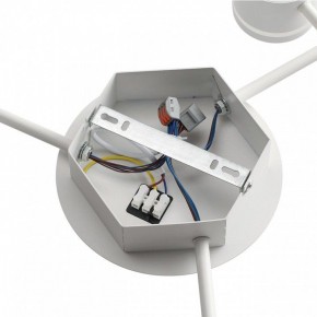 Потолочная люстра Lumion Gareta 8235/9C в Карталах - kartaly.ok-mebel.com | фото 6