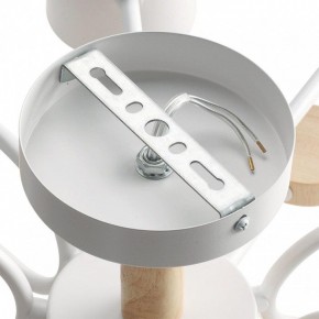 Потолочная люстра Lumion Rondo 8196/10C в Карталах - kartaly.ok-mebel.com | фото 6