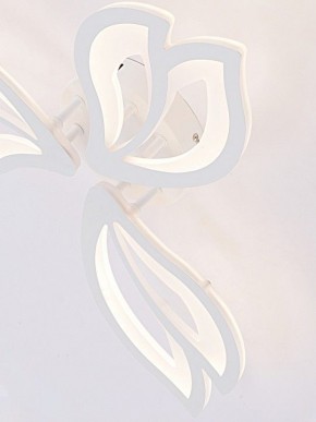Потолочная люстра Natali Kovaltseva FORTUNA LED LAMPS 81107/2C в Карталах - kartaly.ok-mebel.com | фото 11