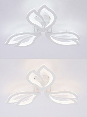 Потолочная люстра Natali Kovaltseva FORTUNA LED LAMPS 81107/2C в Карталах - kartaly.ok-mebel.com | фото 4