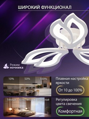 Потолочная люстра Natali Kovaltseva FORTUNA LED LAMPS 81107/2C в Карталах - kartaly.ok-mebel.com | фото 5