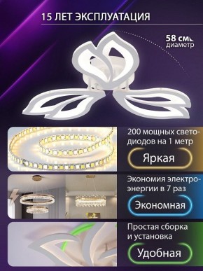 Потолочная люстра Natali Kovaltseva FORTUNA LED LAMPS 81107/2C в Карталах - kartaly.ok-mebel.com | фото 6