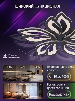 Потолочная люстра Natali Kovaltseva FORTUNA LED LAMPS 81107/5C в Карталах - kartaly.ok-mebel.com | фото 6