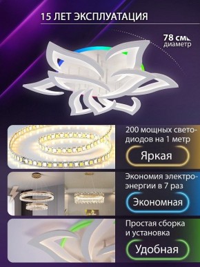 Потолочная люстра Natali Kovaltseva OLIMP LED LAMPS 81435 в Карталах - kartaly.ok-mebel.com | фото 5