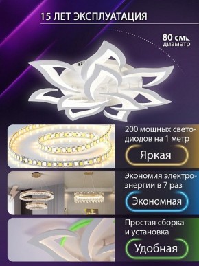 Потолочная люстра Natali Kovaltseva OLIMP LED SMART 84005 в Карталах - kartaly.ok-mebel.com | фото 5