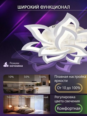 Потолочная люстра Natali Kovaltseva OLIMP LED SMART 84005 в Карталах - kartaly.ok-mebel.com | фото 6