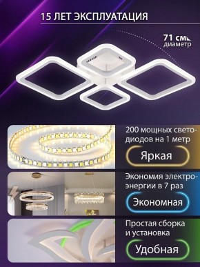 Потолочная люстра Natali Kovaltseva OPTI LED LAMPS 81108/1C в Карталах - kartaly.ok-mebel.com | фото 5