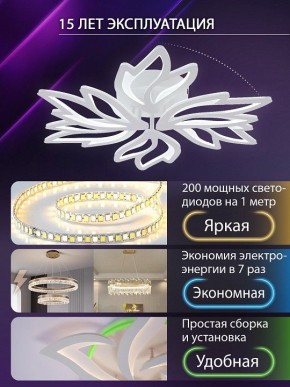 Потолочная люстра Natali Kovaltseva RIF LED LAMPS 81118/5C в Карталах - kartaly.ok-mebel.com | фото 5