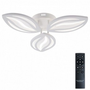 Потолочная люстра Natali Kovaltseva SM LED LAMPS 81456 в Карталах - kartaly.ok-mebel.com | фото 2