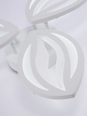 Потолочная люстра Natali Kovaltseva SM LED LAMPS 81456 в Карталах - kartaly.ok-mebel.com | фото 8