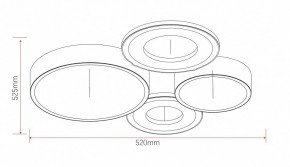 Потолочная люстра Rivoli Aliona Б0066451 в Карталах - kartaly.ok-mebel.com | фото 11