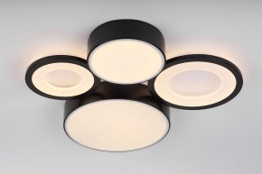 Потолочная люстра Rivoli Aliona Б0066451 в Карталах - kartaly.ok-mebel.com | фото 8