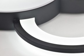 Потолочная люстра Rivoli Aliona Б0066452 в Карталах - kartaly.ok-mebel.com | фото 10