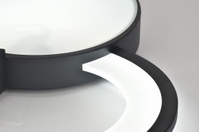 Потолочная люстра Rivoli Aliona Б0066452 в Карталах - kartaly.ok-mebel.com | фото 11